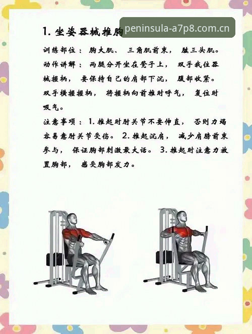 半岛体育A7P8功能安全吗？实用详解与新手操作指南